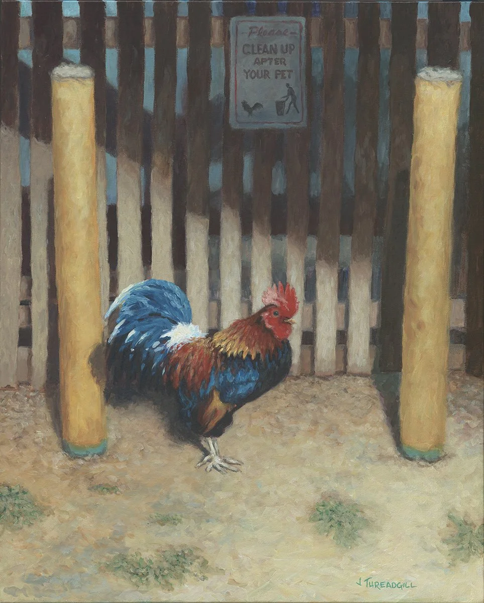 Pet Rooster