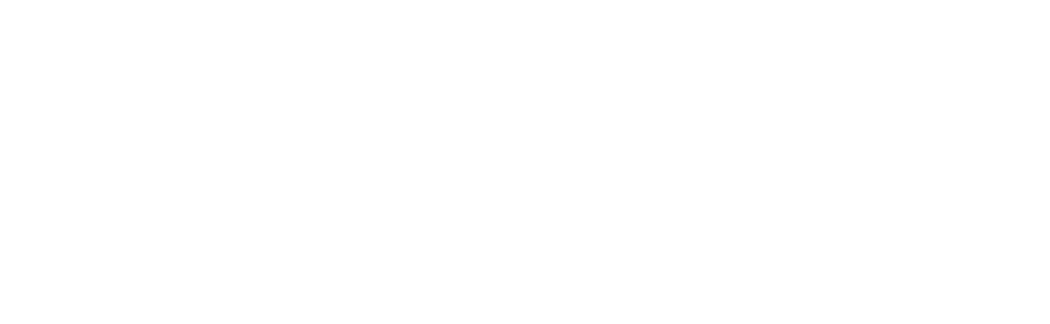 The First Fifty Years