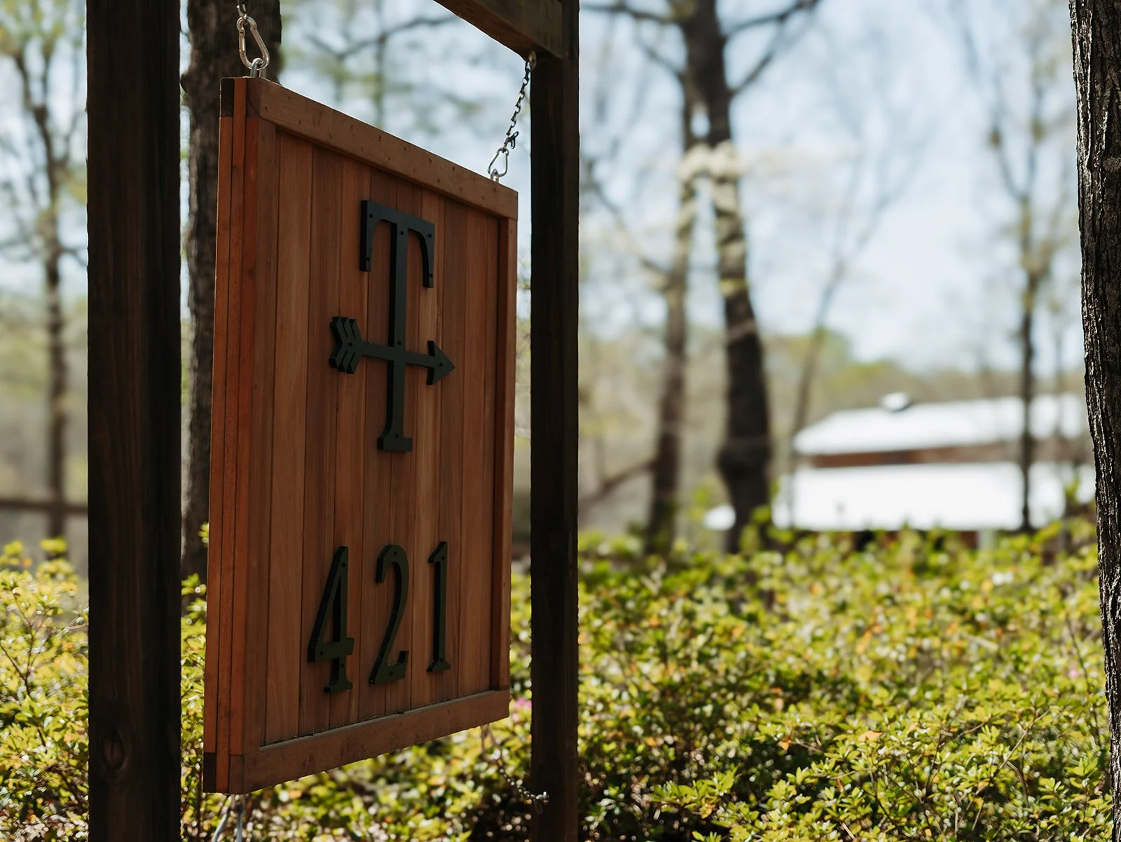 farm in Blythewood sc with big open fields for photographers and community events