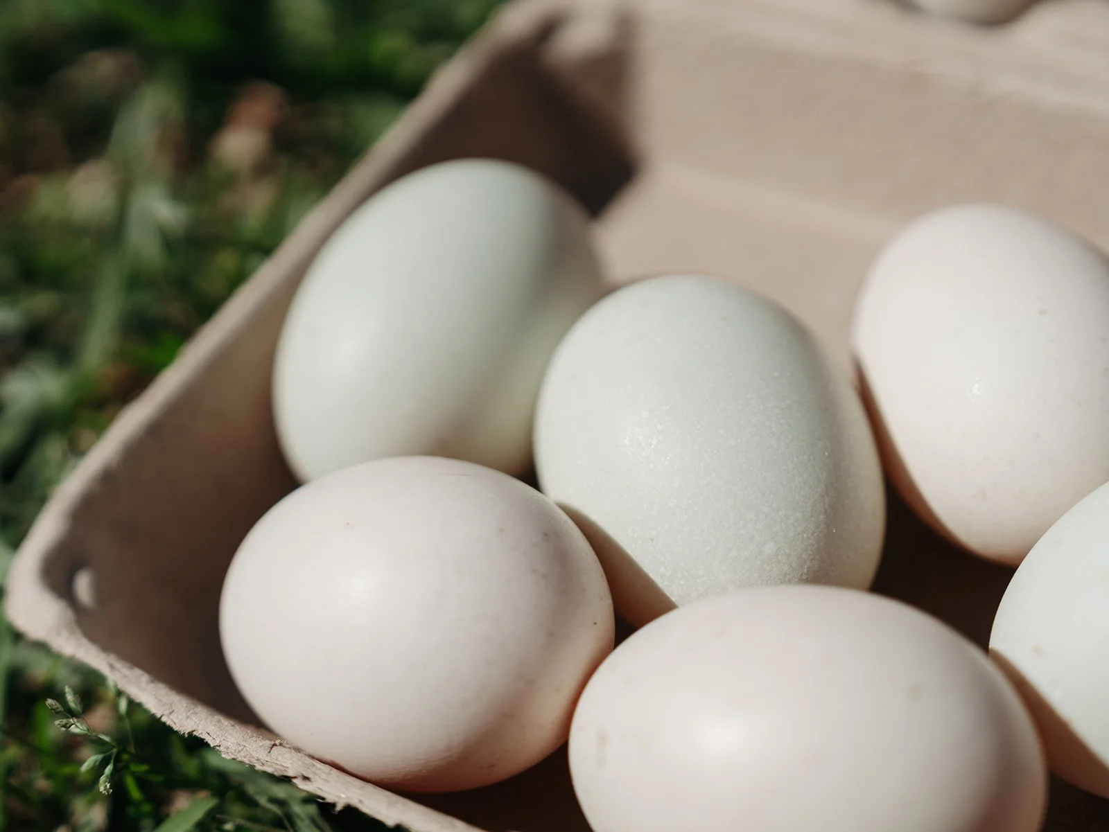 Goose Eggs