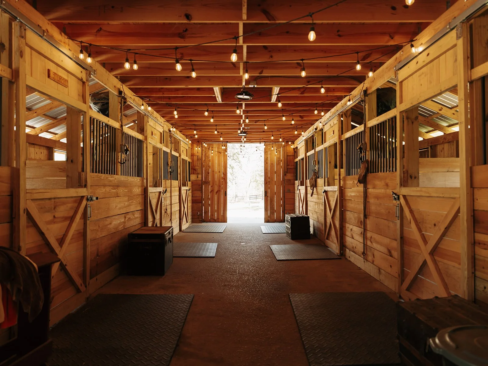 TOliveFarm_KDP-29.jpg