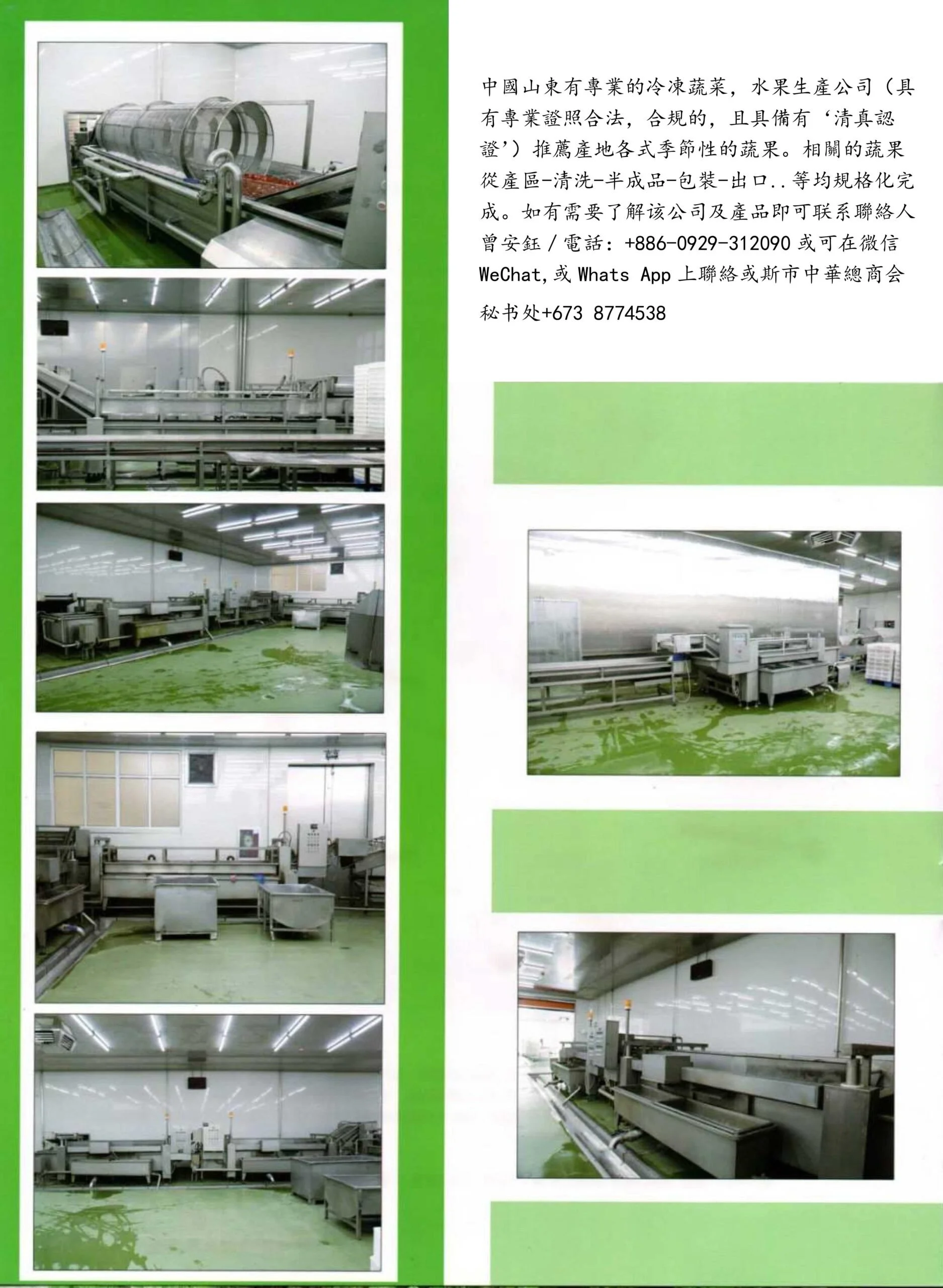 1冷冻蔬果業-2-scaled.jpg