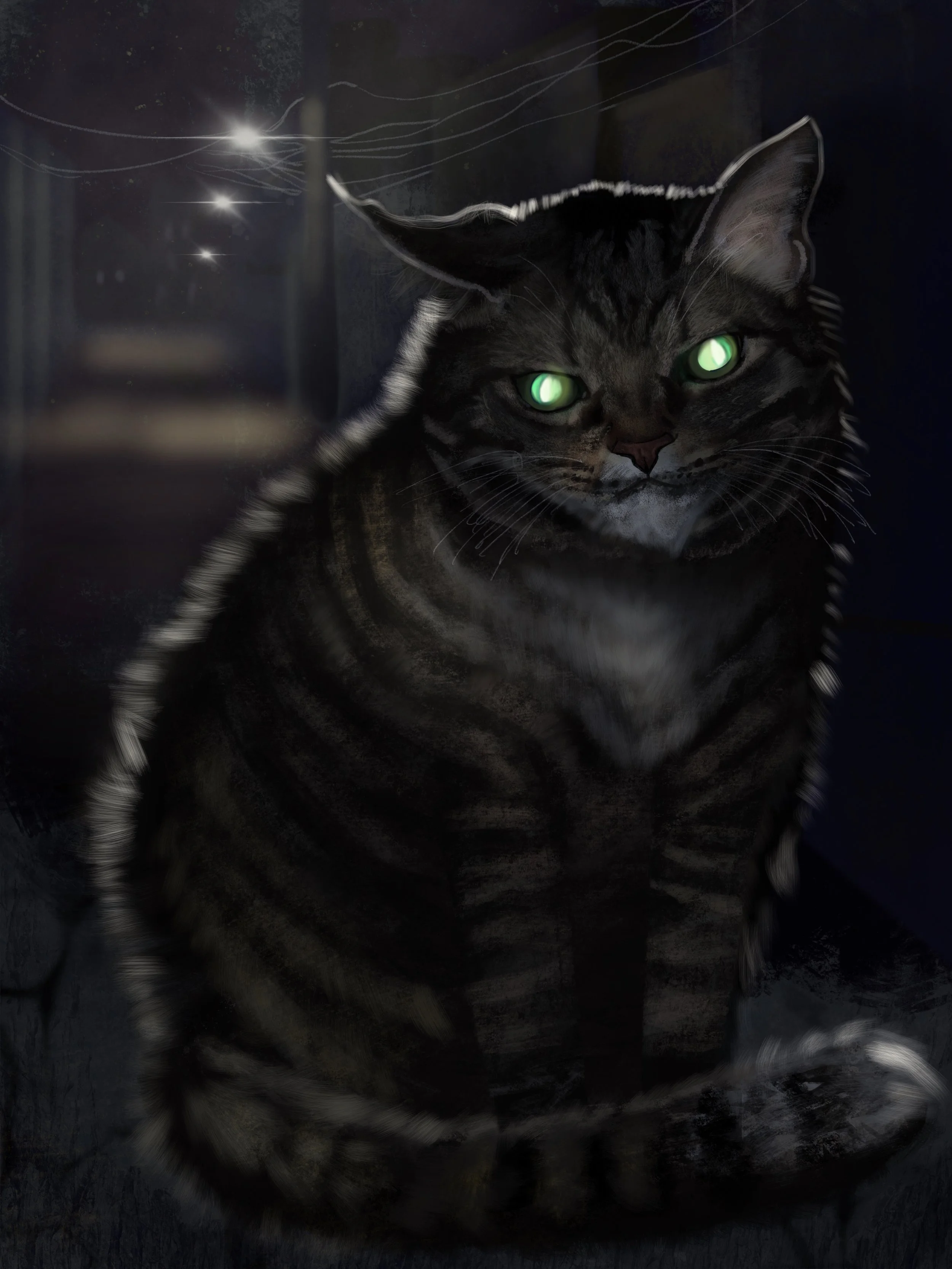 Cat in dark.jpg