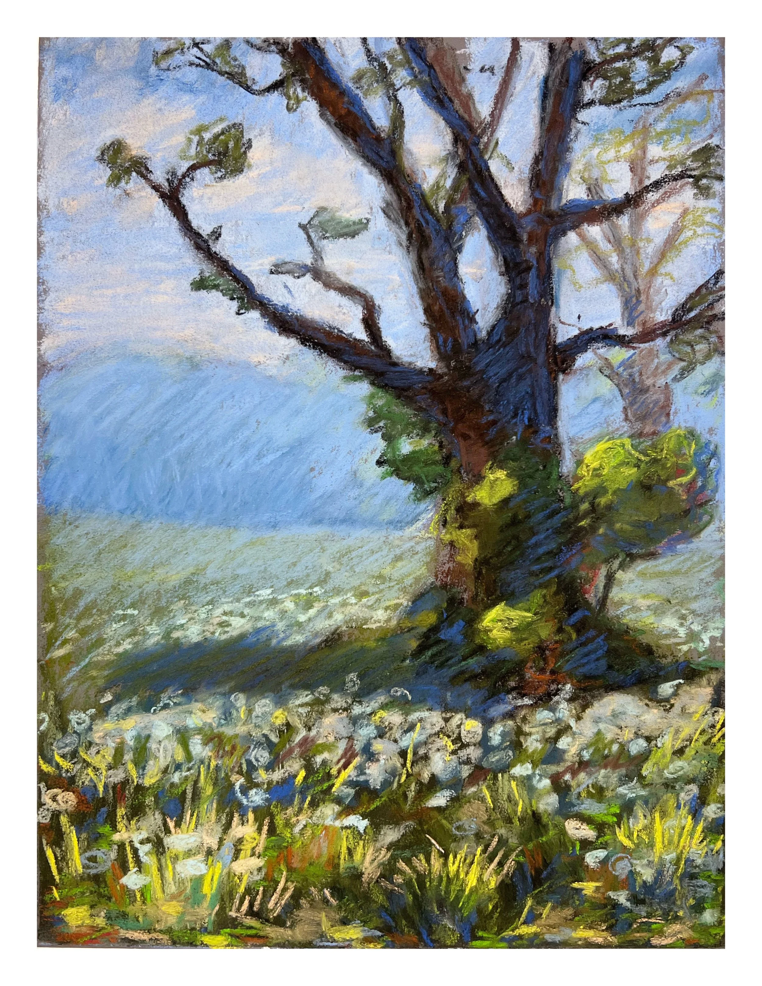 In the dandelion field, Pastel on paper,  12" x 9"