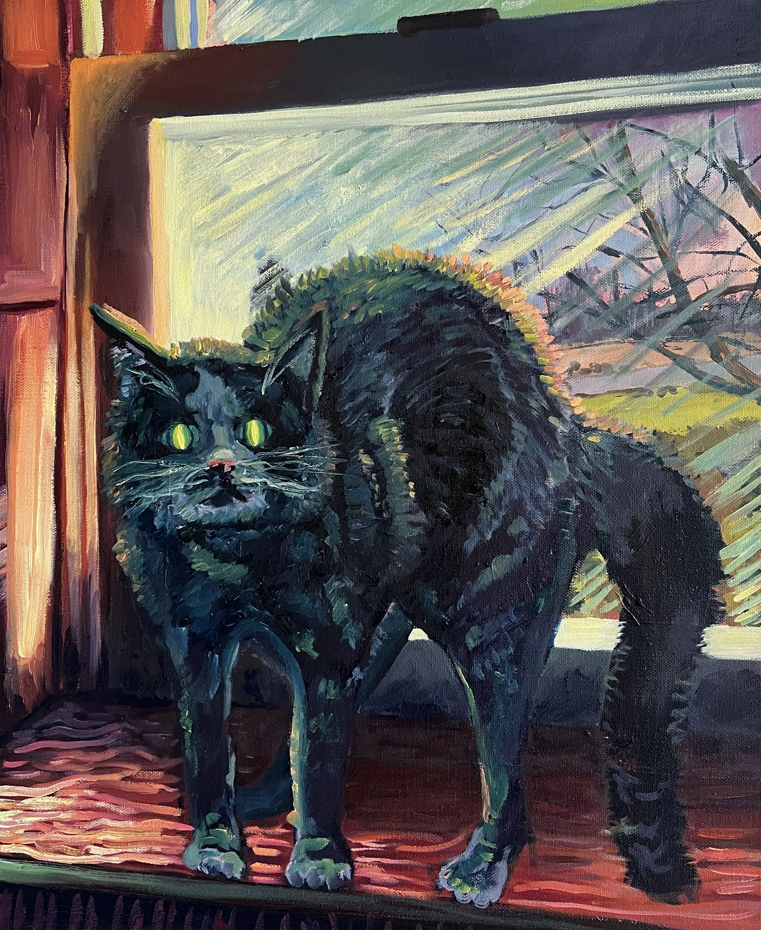 Black cat, Oil on canvas, 20" x 16"