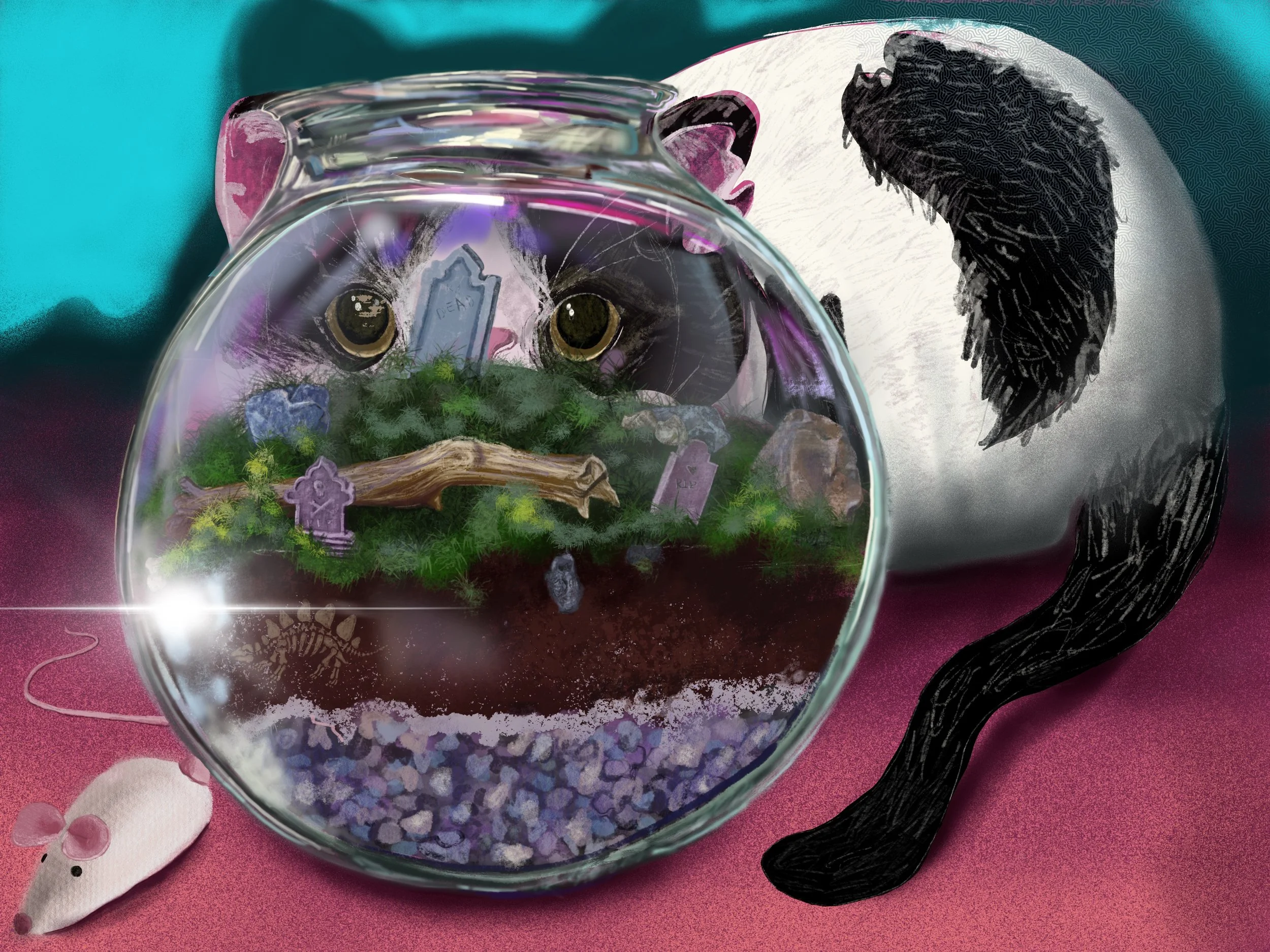 Cat terrarium.jpg