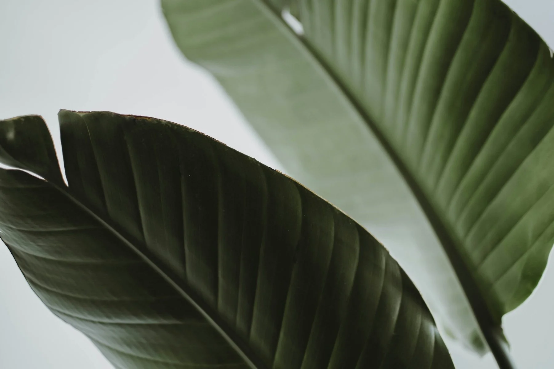 content-pixie-h-Hhlp1cO0M-unsplash.jpg