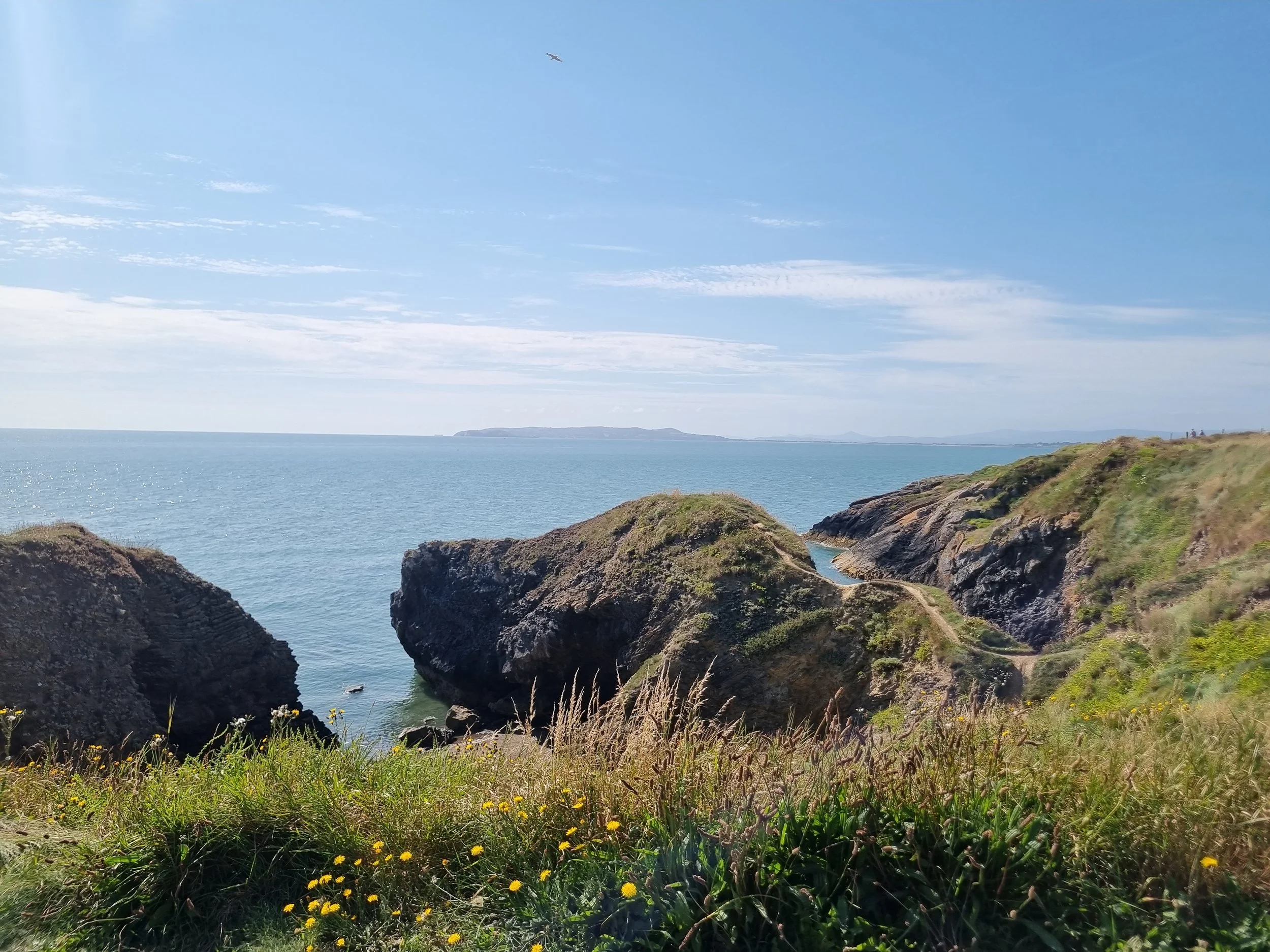 Coastal scene with rocky cliffs, green vegetation, and the ocean under a partly cloudy sky, with a distant landmass on the horizon.