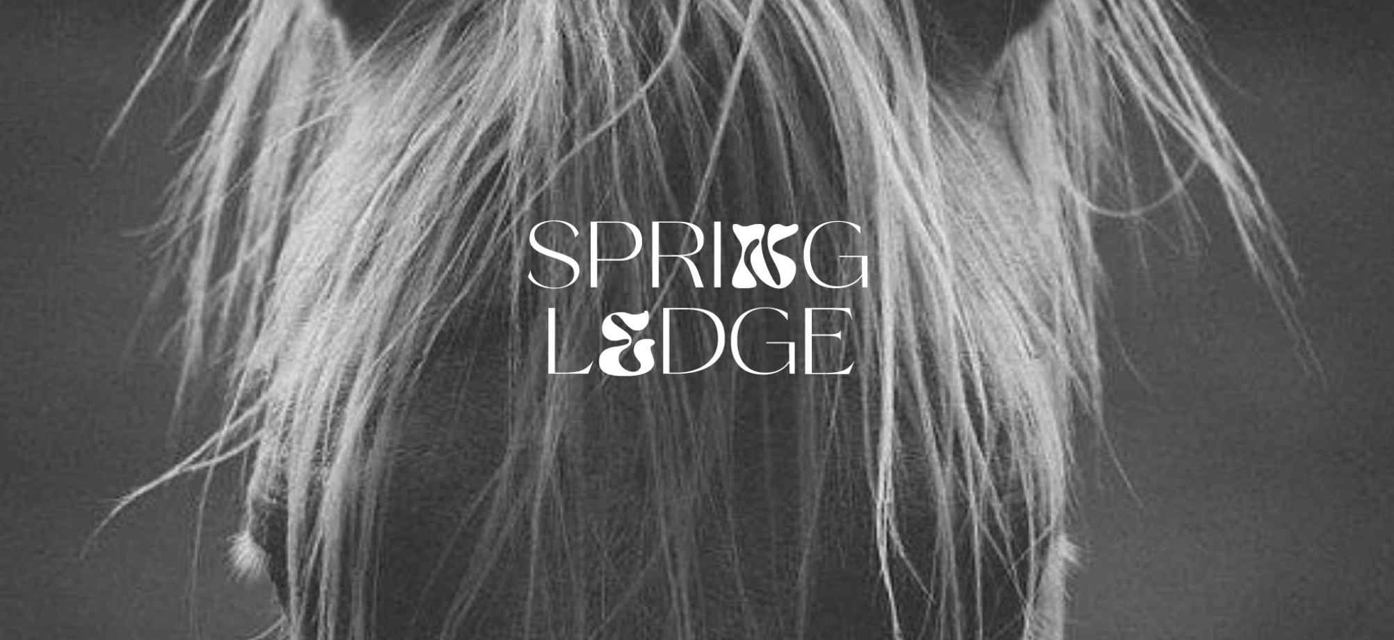 Spring Ledge Brand Concept