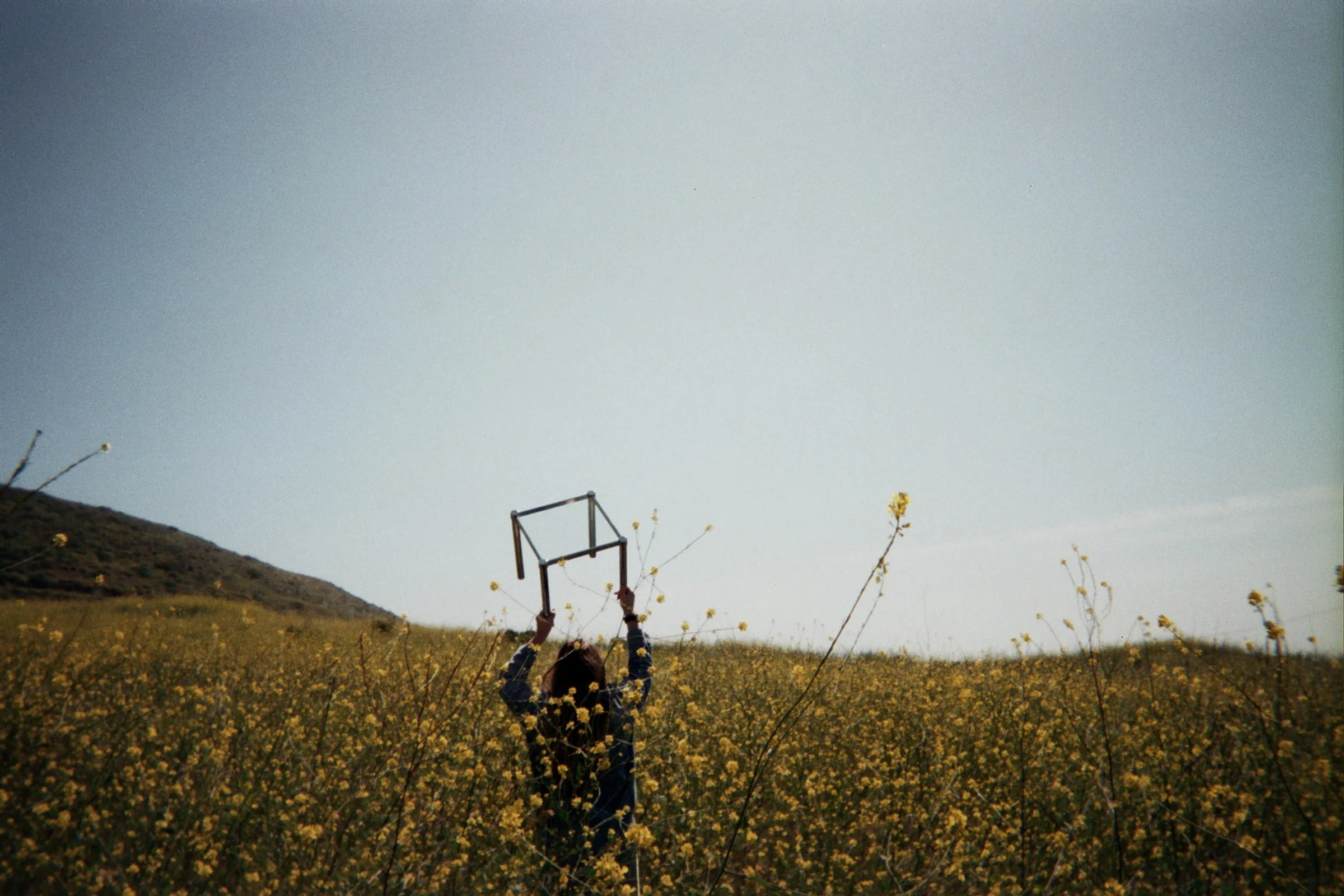 Golden Fields Photo Direction