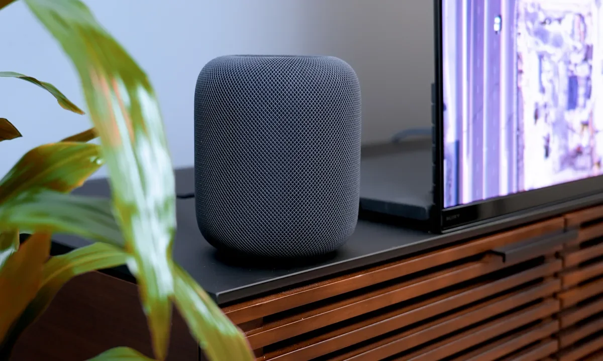 A smart speaker placed on a black surface next to a flat-screen television and a green plant, on a wooden entertainment center in a living room.