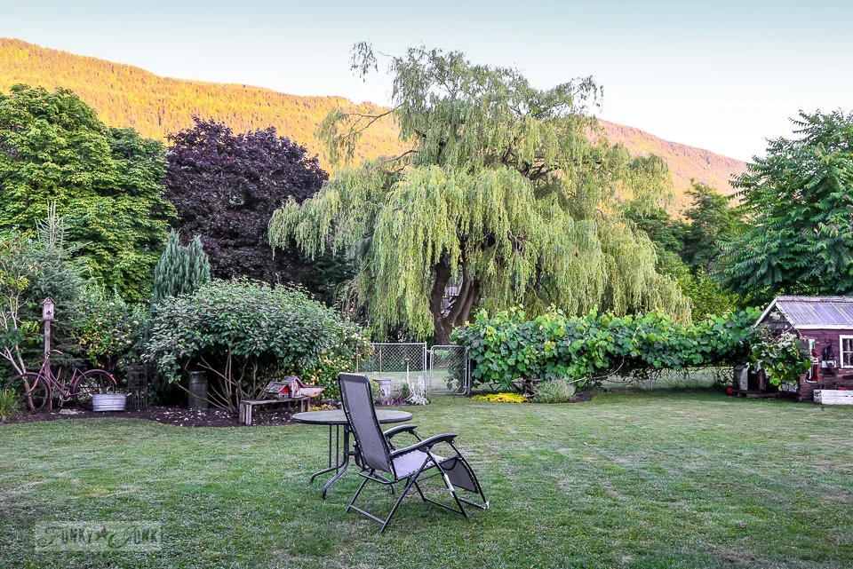 Seasonal Lawn Clean-Up