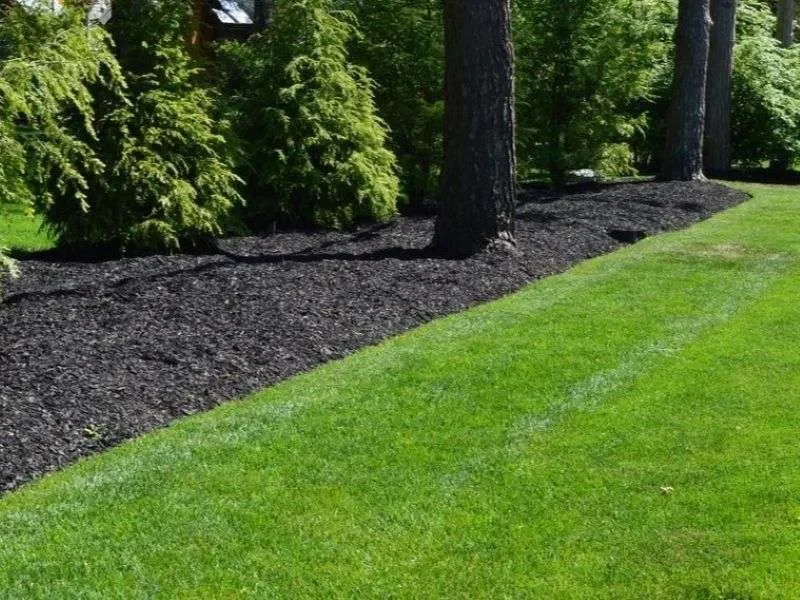 Mulch Installation