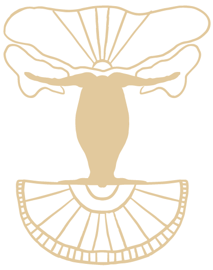 A stylized illustration of a bee with abstract wings and a semi-circular pattern at the bottom.