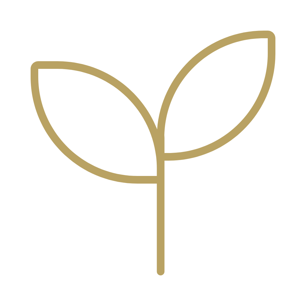 Minimalist gold outline of a sprouting plant with two leaves on a black background.