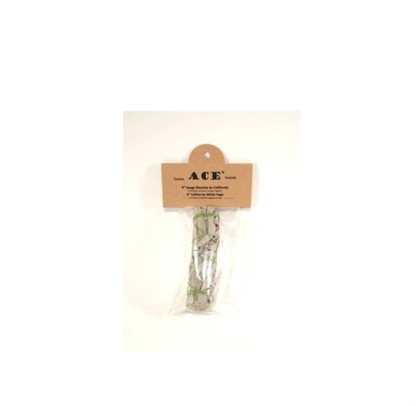 1 PC • California White Sage 4" Bundle