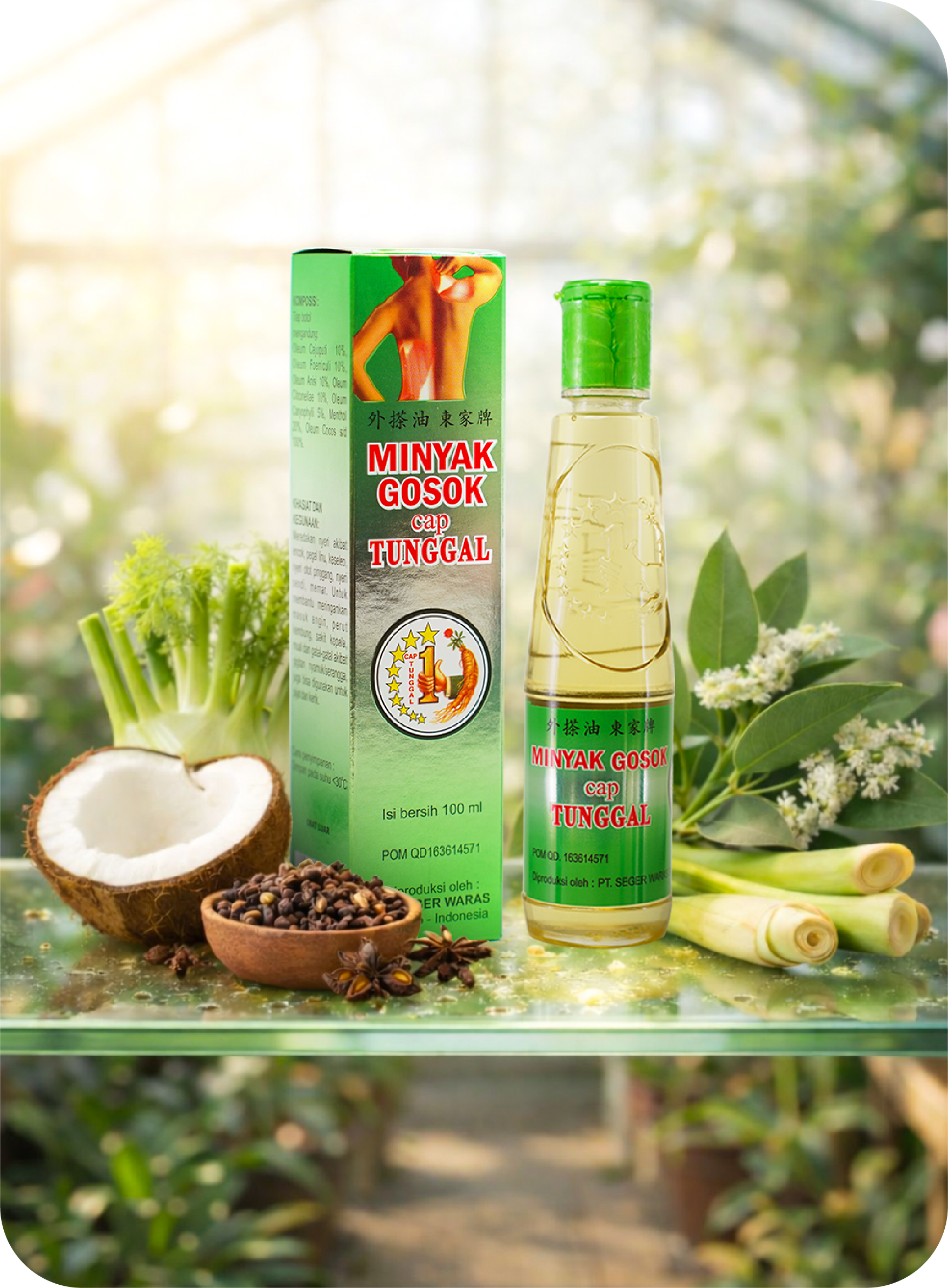 A bottle labeled 'Minyak Gosok Cap Tunggal' and its packaging box, with Asian herbs, coconut, pepper, and lemongrass surrounding them, set against a bright, nature-inspired background.