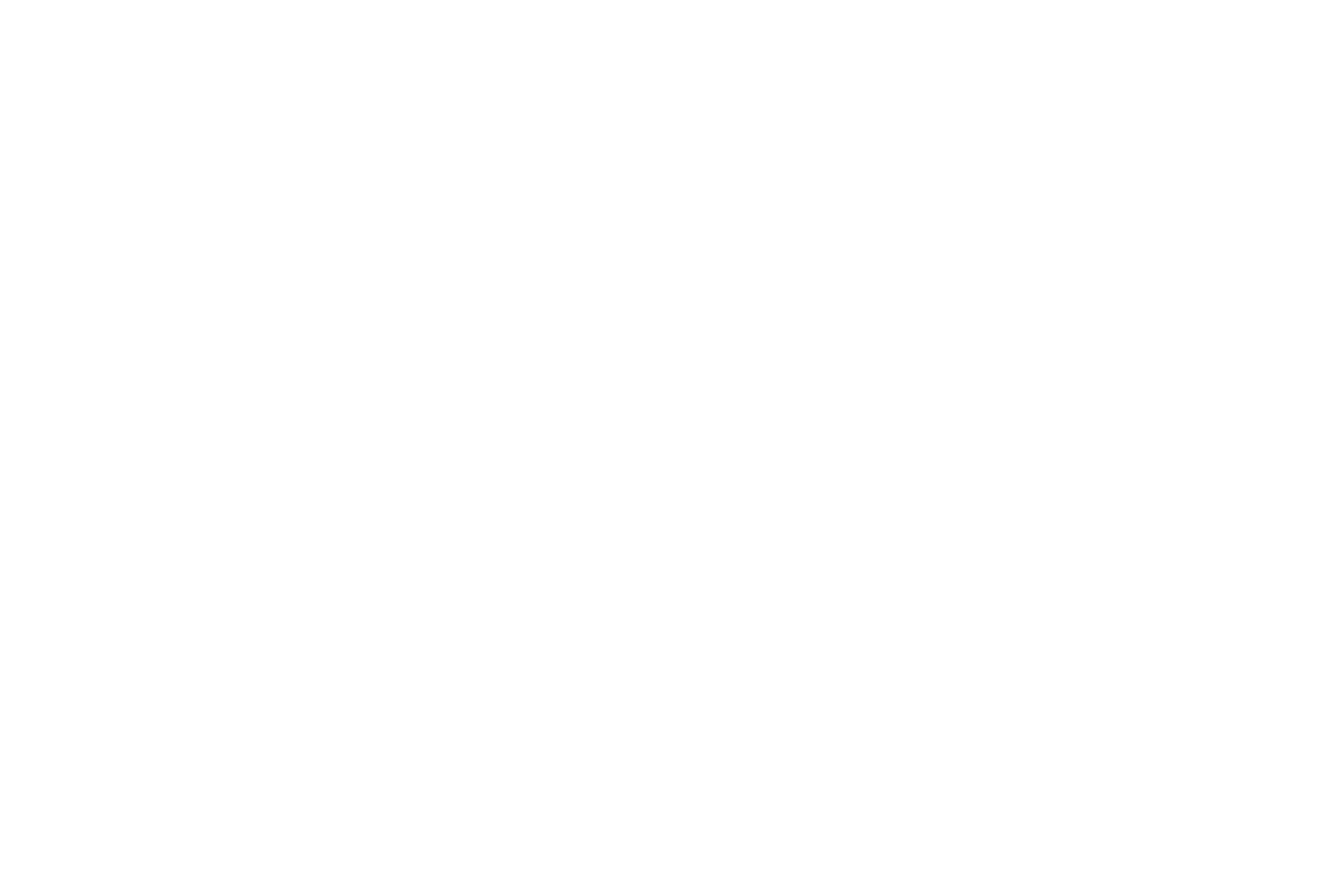 CA ANZ logo