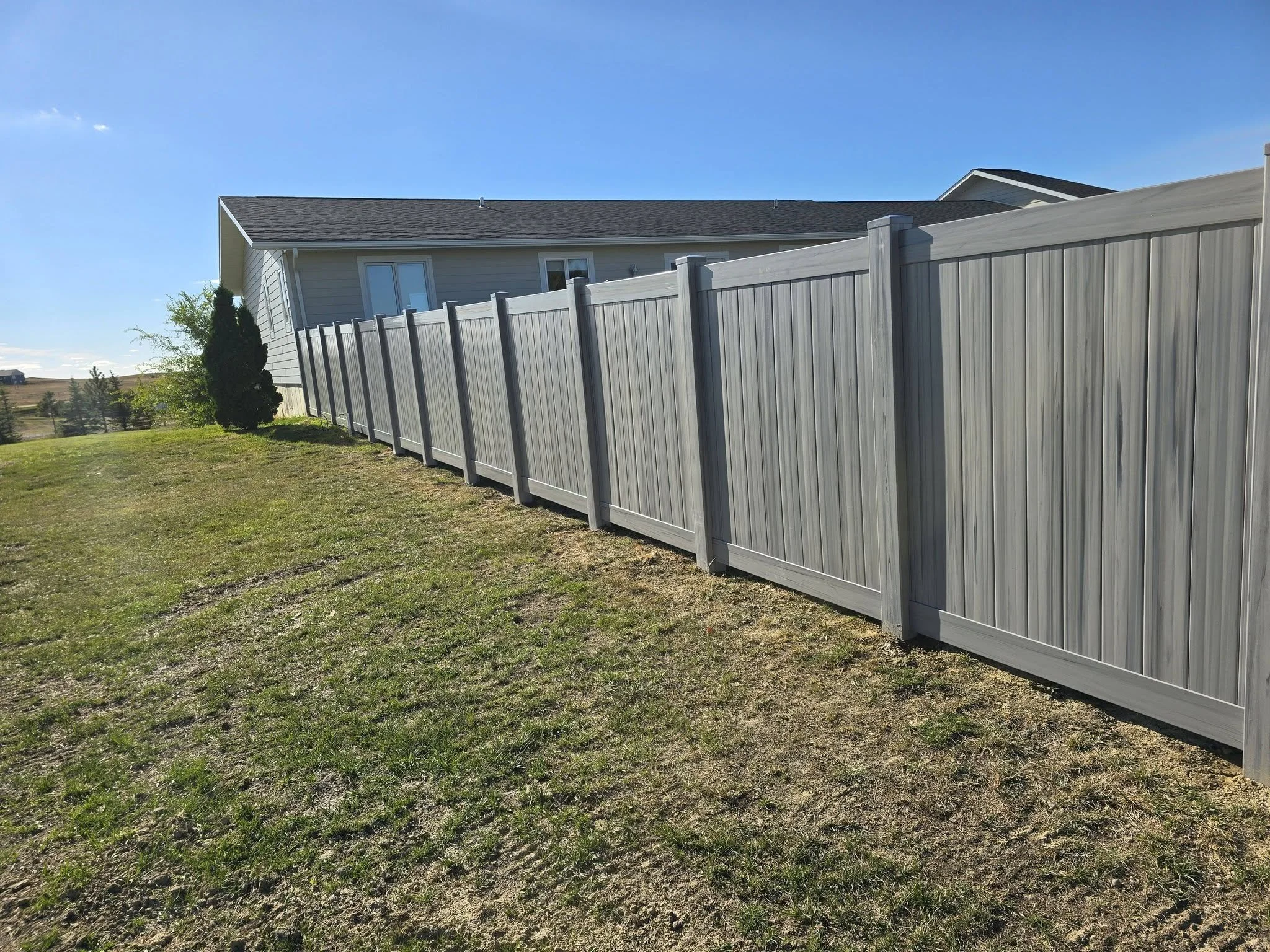 A backyard with a light gray wooden privacy fence, a gray house with a dark roof, and a small tree on a grassy area under a clear blue sky.