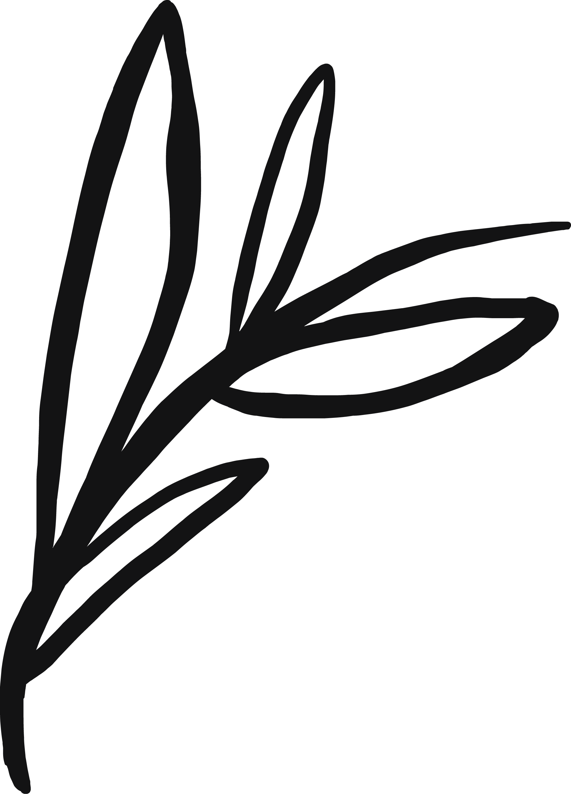 Flower illustration symbolising healing, growth and personal transformation.