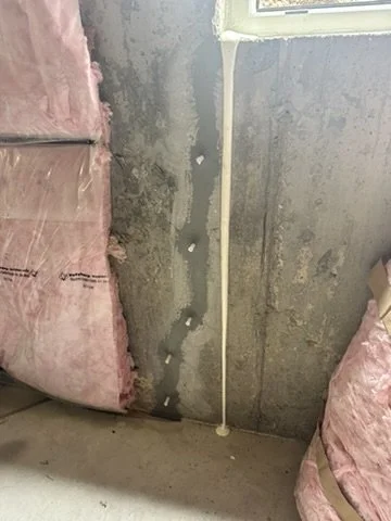 CA221806-2FAA-4275-98B5-7081E9BD8B48_4_5005_c.jpeg