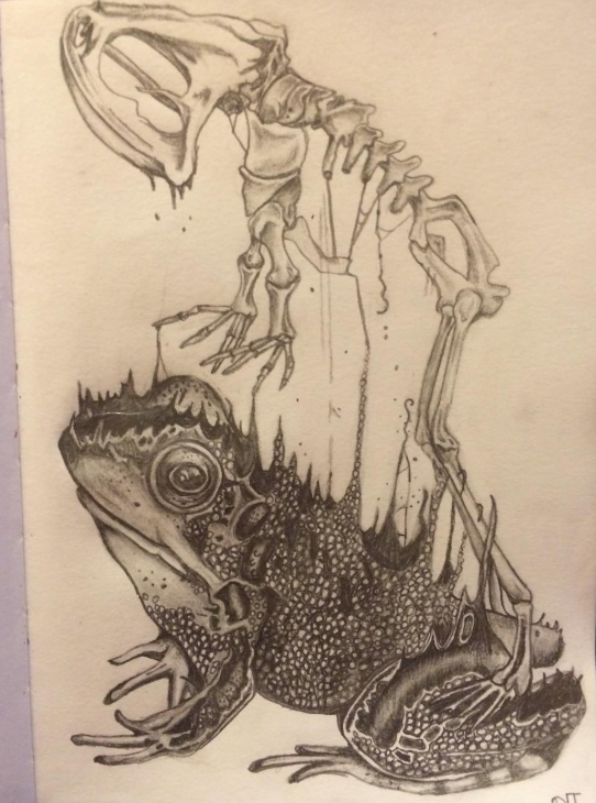 Screenshot 2026-03-01 100627.png