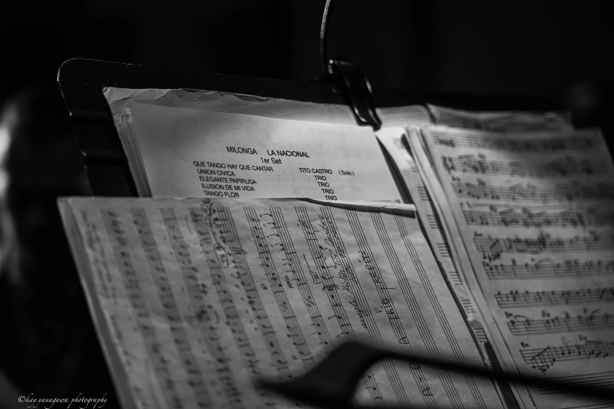 L1030804-2.jpg