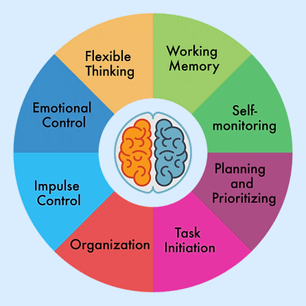 executive-function-wheeljpg.png