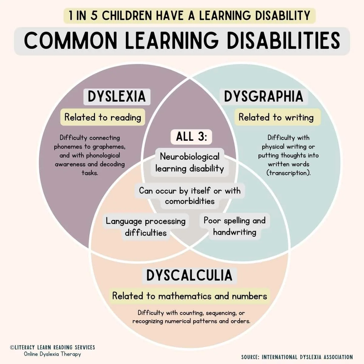 Dyslexia-Dysgraphic-Dyscalculia-Graphic.jpg