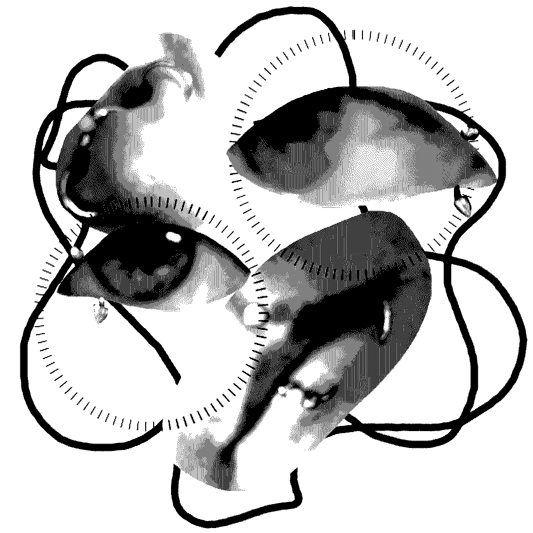 an animated gif of a nose, two eyes and a mouth, twitching and strangely arranged over an every repeating and spinning tangled line that entangles in the background. all black and white.