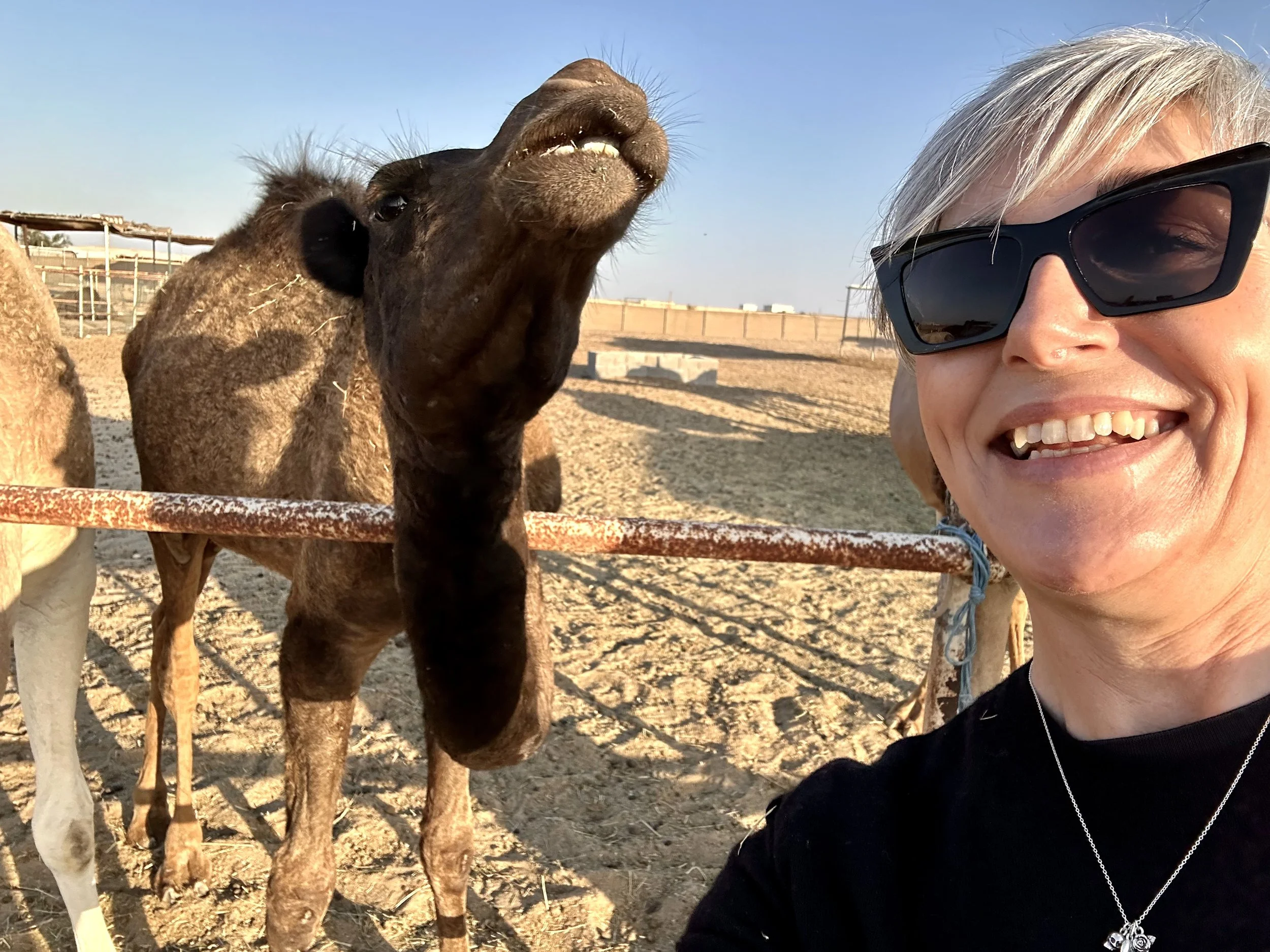 A woman wearing sunglasses and a black shirt smiling next to a camel with its head raised, on a sandy outdoor area with a fence in the background.