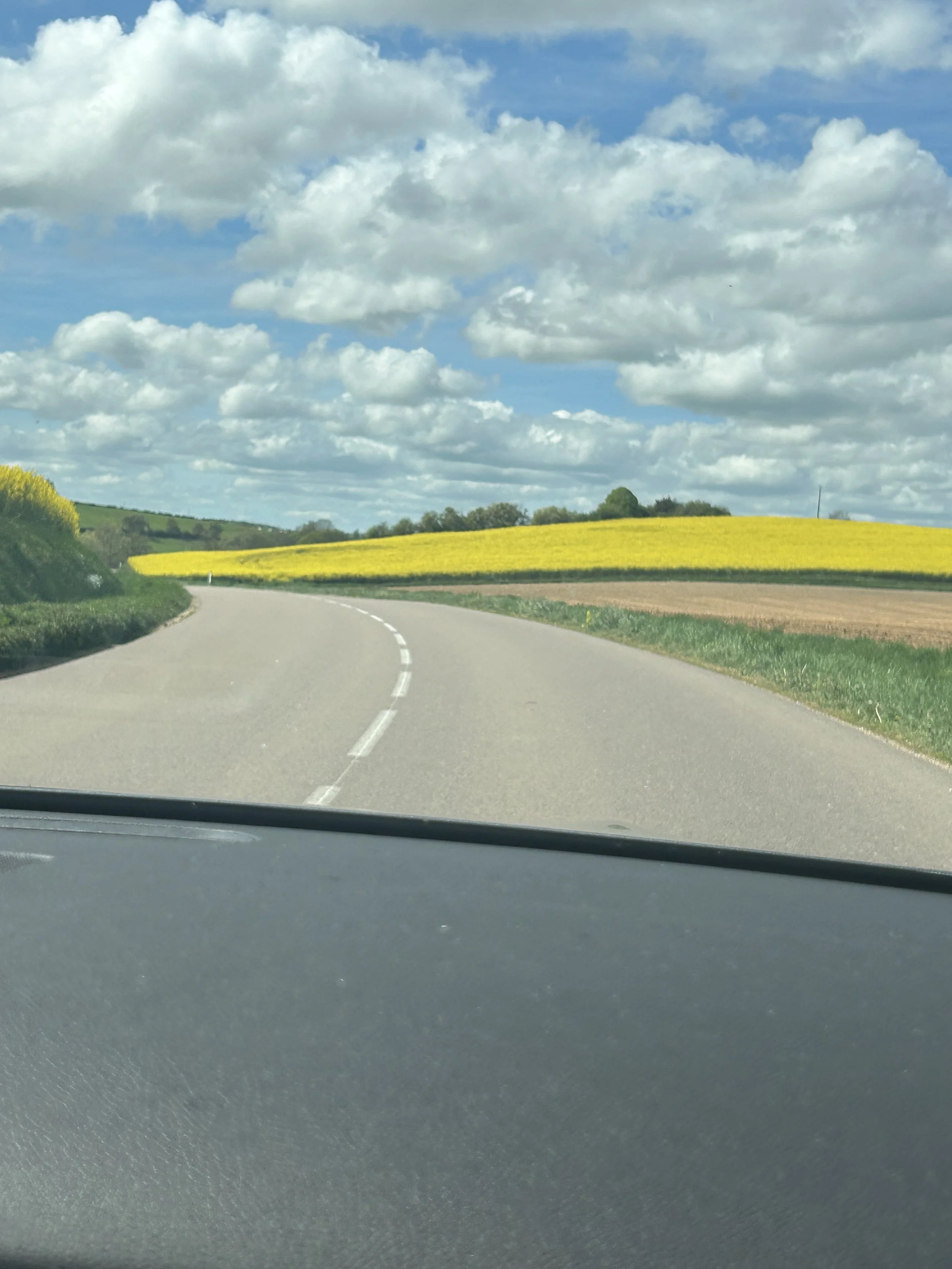 A scenic rural landscape with a winding road, green fields, yellow crops, and a blue sky with scattered white clouds.
