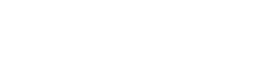Sentry Solutions, fractional cfo, strategic growth advisor, small business investor, small business advisor, financial advisor for business