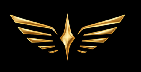 aircraft exterior detailing private jet Orange County California Brightwing Aviation Detailing