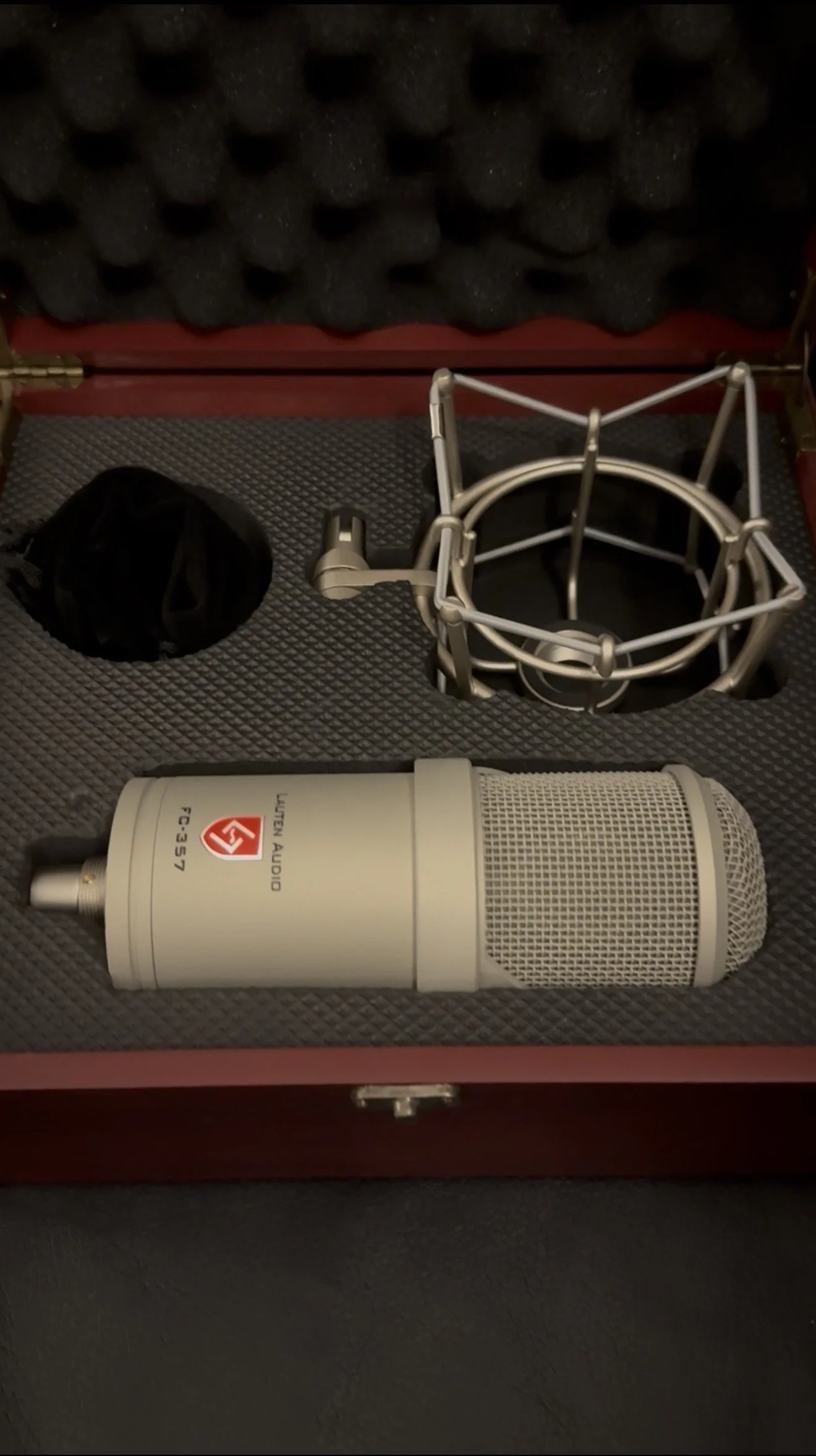 Studio microphone with shock mount in a protective case.
