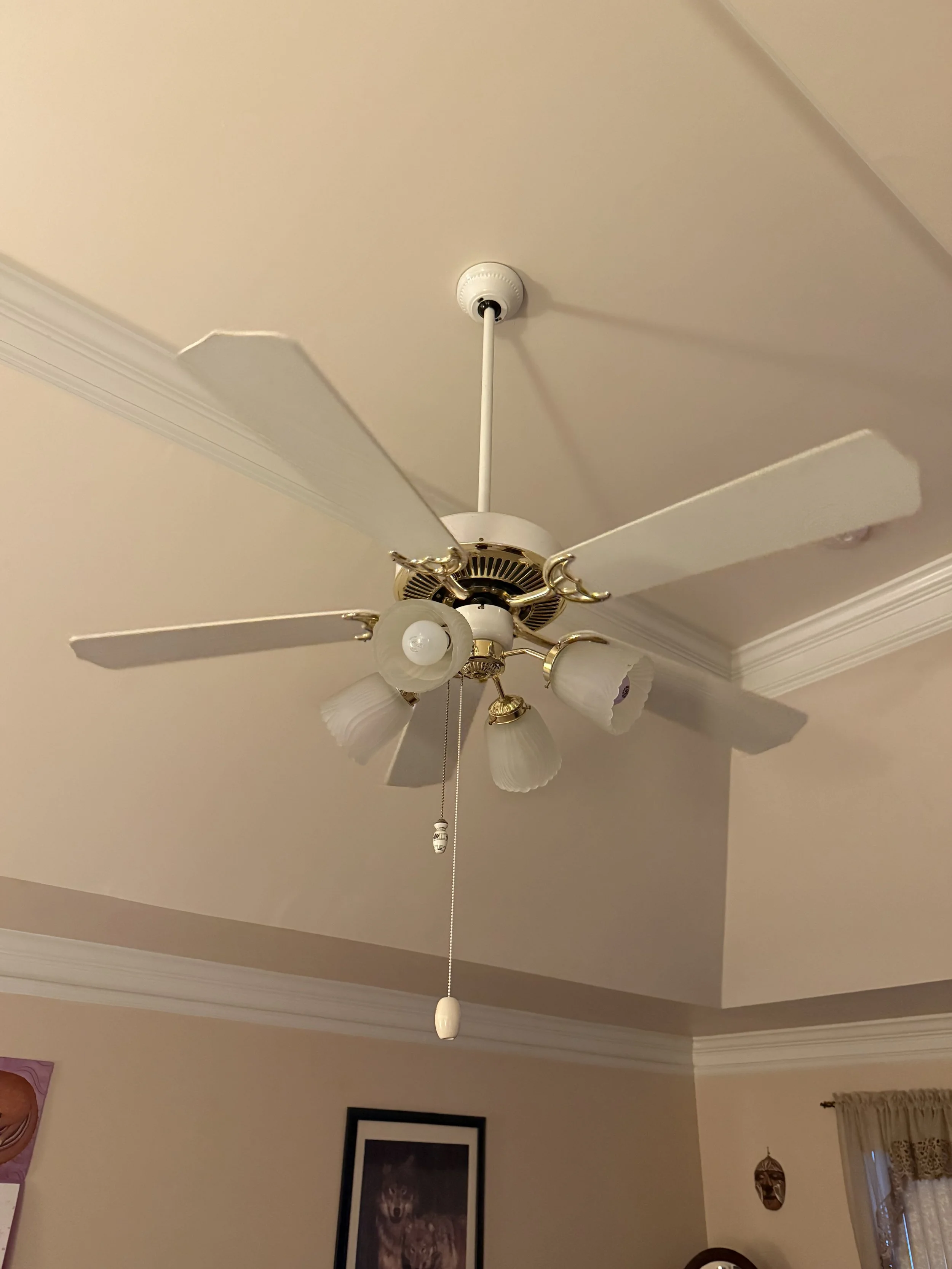 Ceiling fan with four white blades and four light fixtures with frosted glass shades, hanging from a white ceiling in a decorated living room.