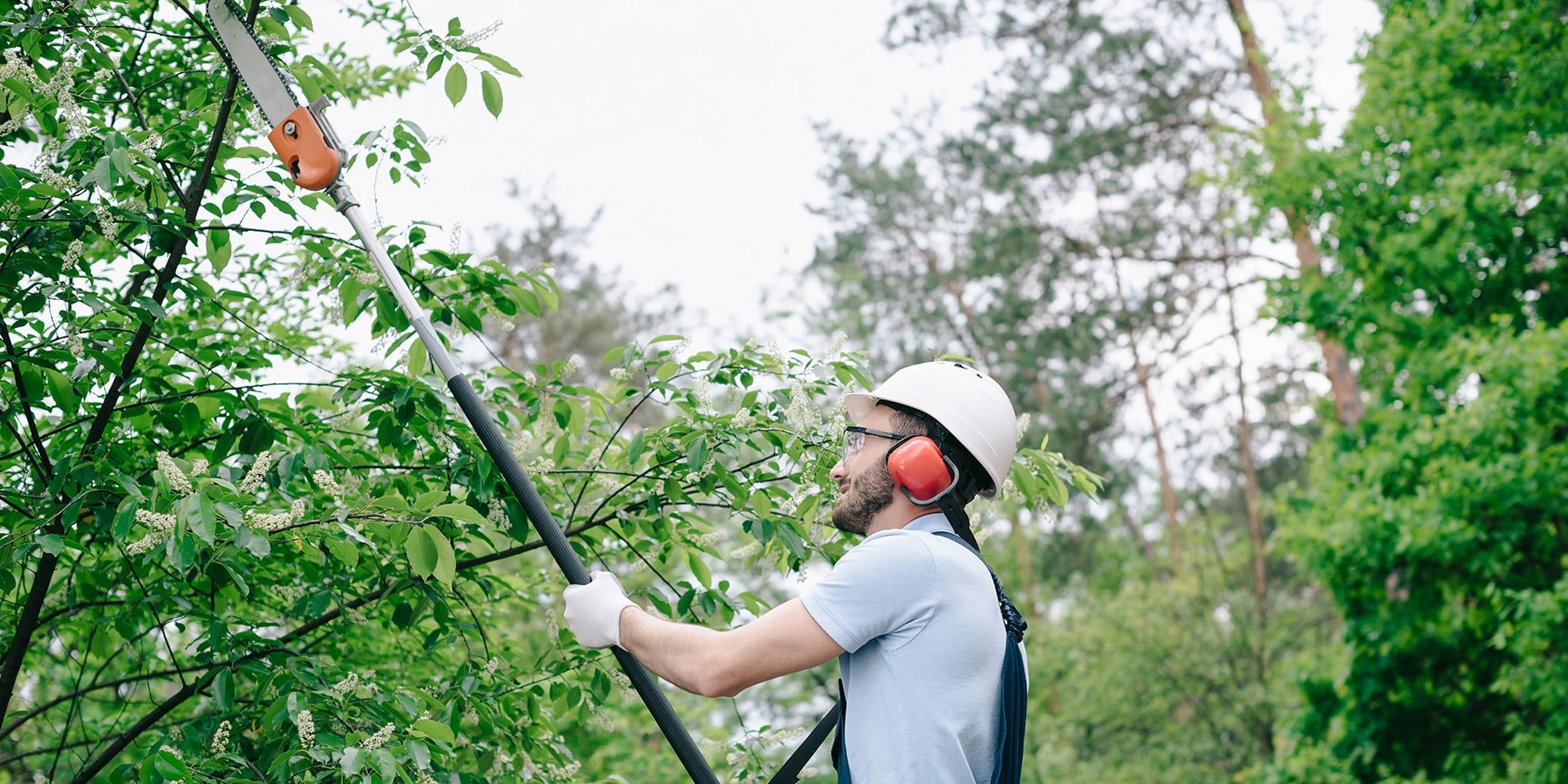 A man wearing safety gear, including a white helmet, red ear protection, and glasses, using electric pruning shears to trim tree branches in a green outdoor setting.