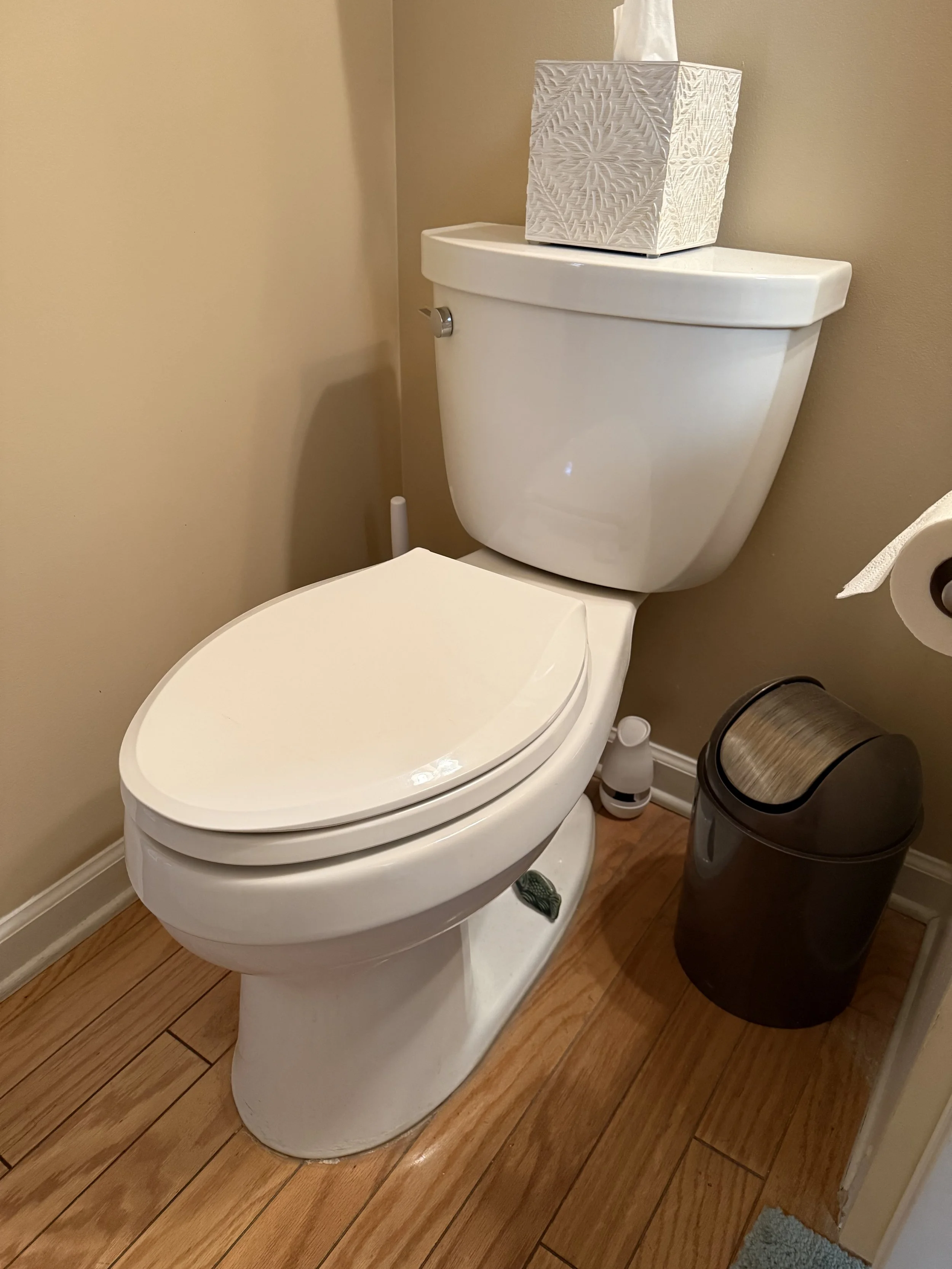 A bathroom scene with a white toilet, a decorative tissue box on top, a toilet paper roll, a small white air freshener, and a black trash can on a wooden floor.