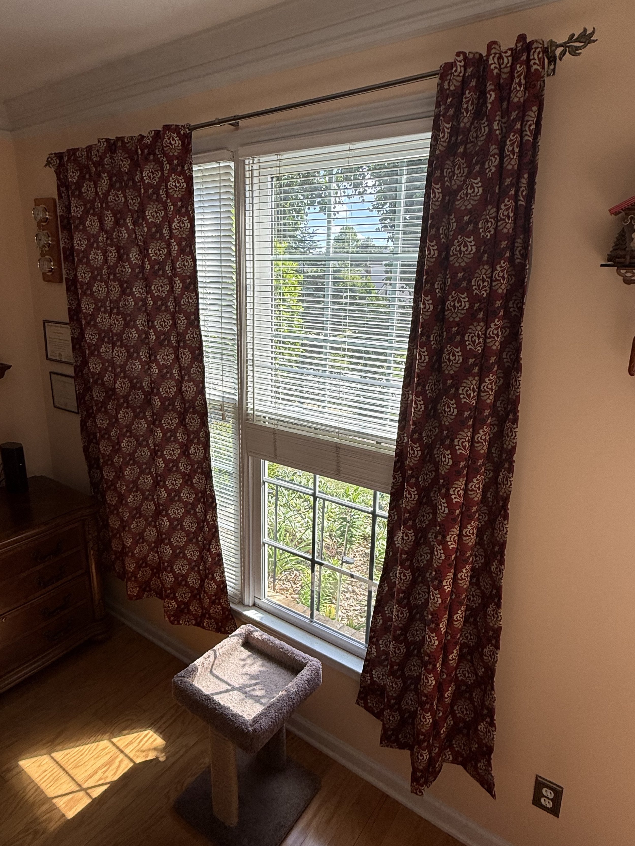 A window with white blinds and red patterned curtains in a room. A small beige cat scratching post is on a dark rug on the floor in front of the window. Outside, there are trees and a blue sky.