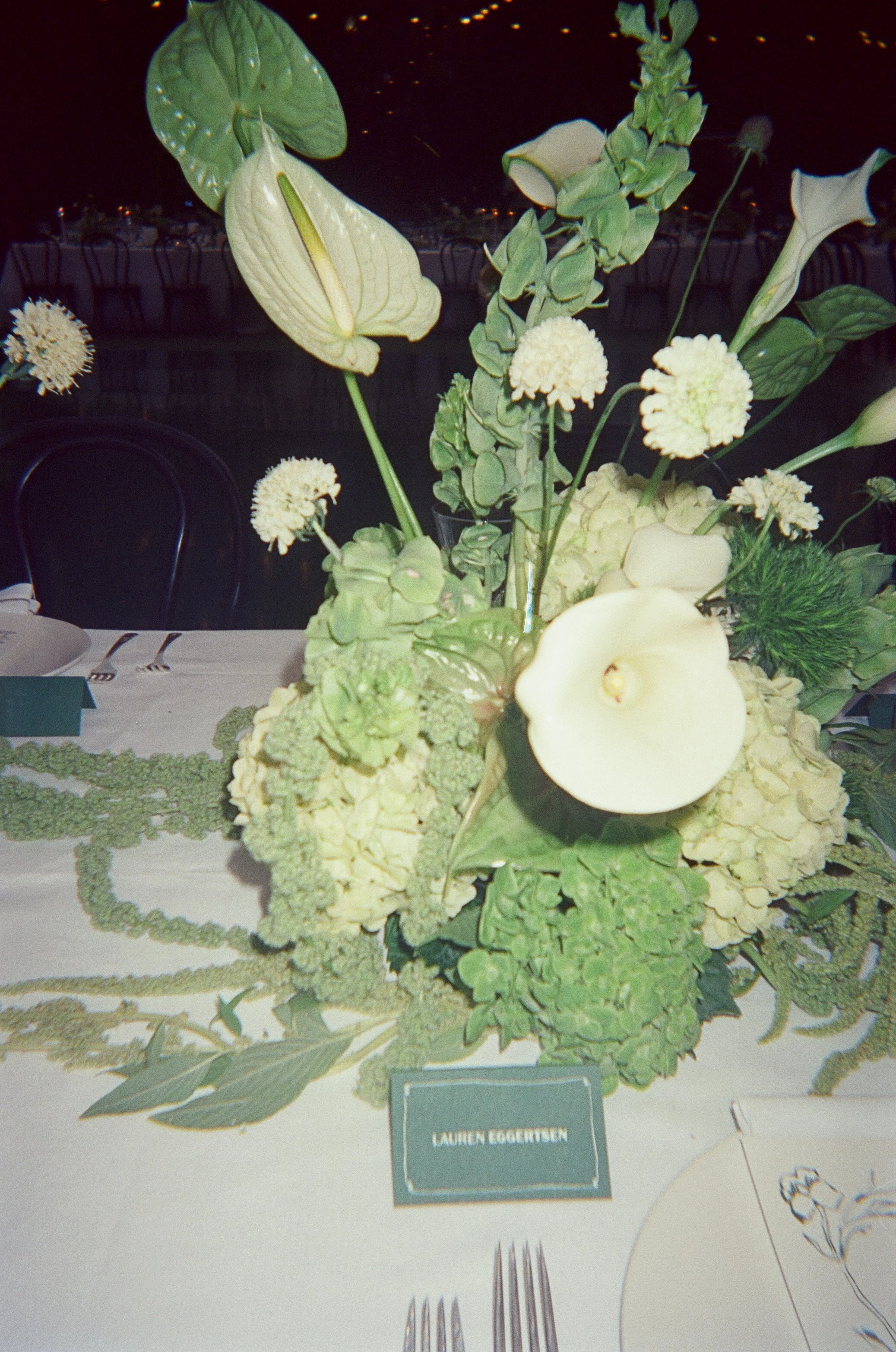 IMG_3985.JPG