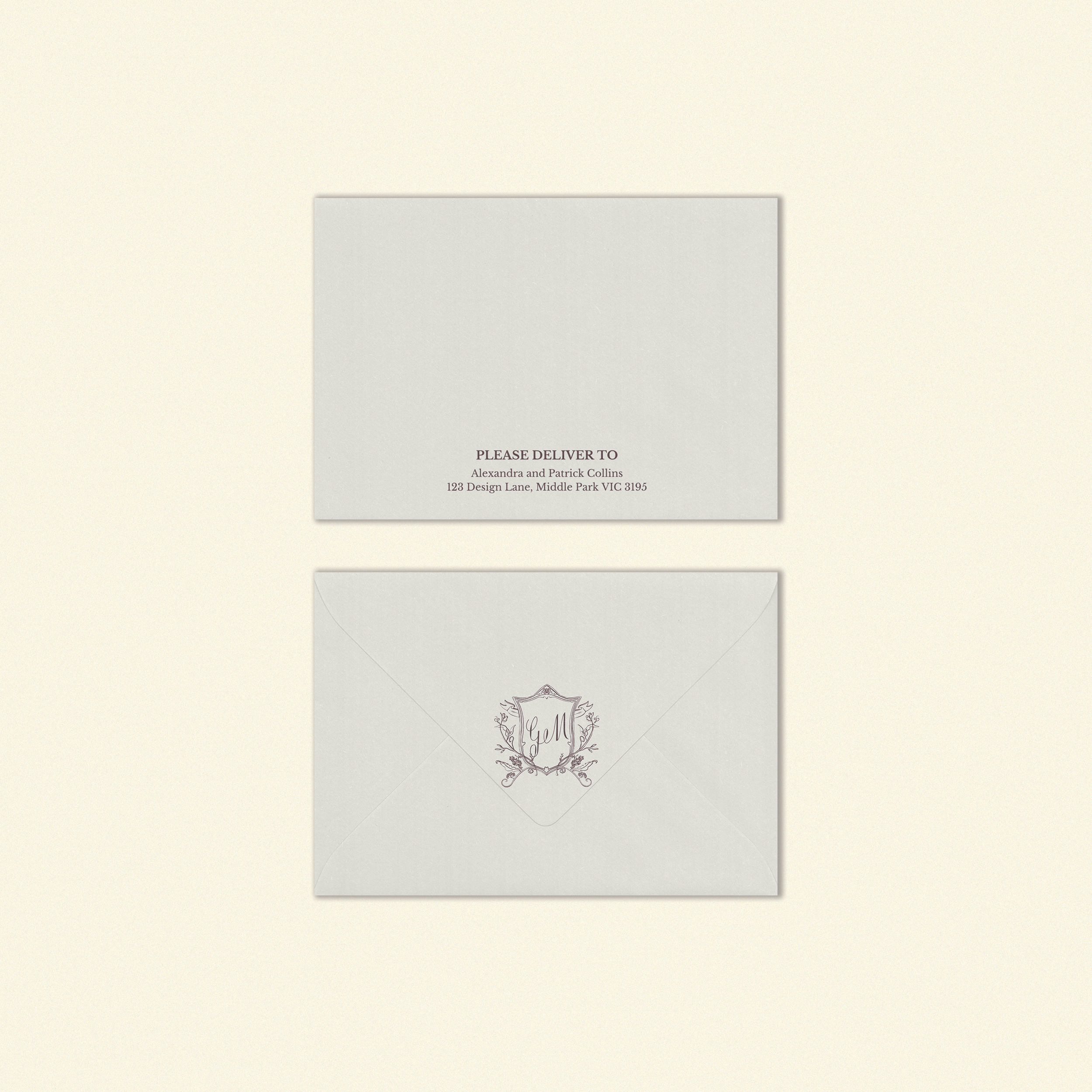 Hayes Standard Envelope Template (Option B)
