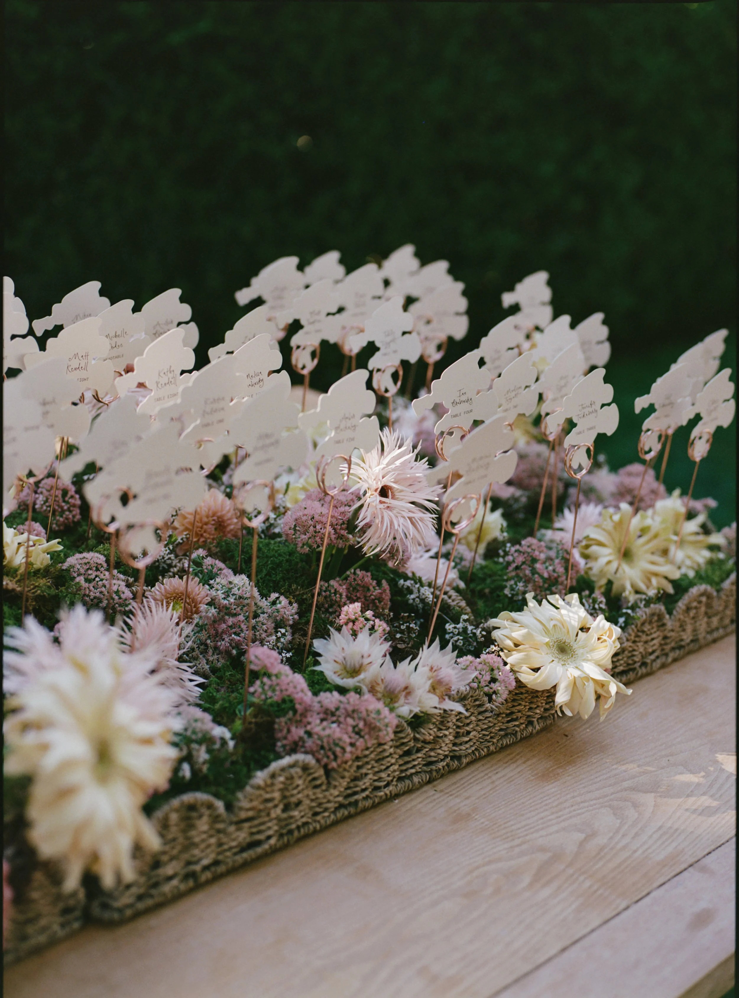 sarah-riley-wedding-262.jpg