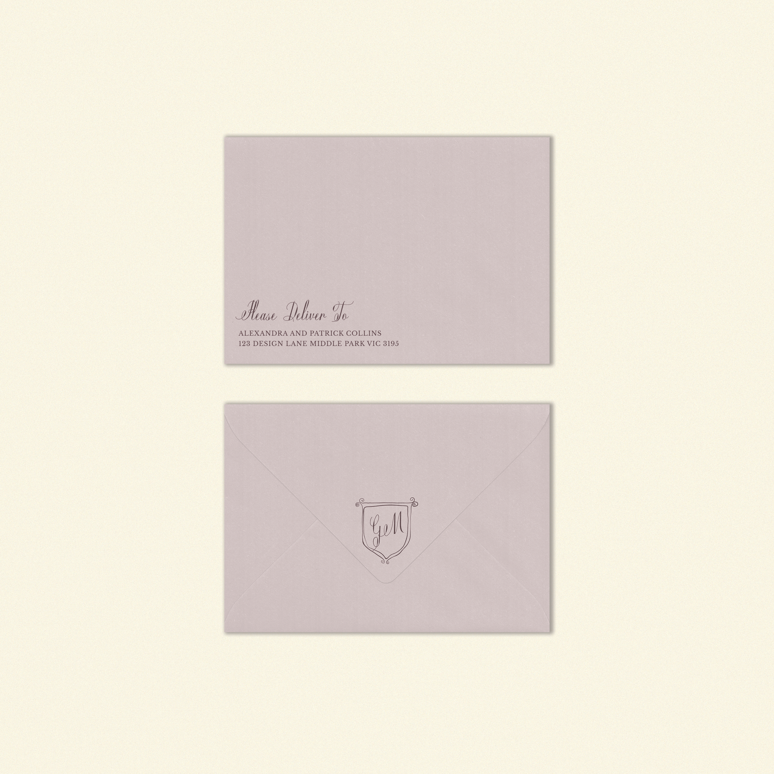 Hayes Standard Envelope Template (Option C)