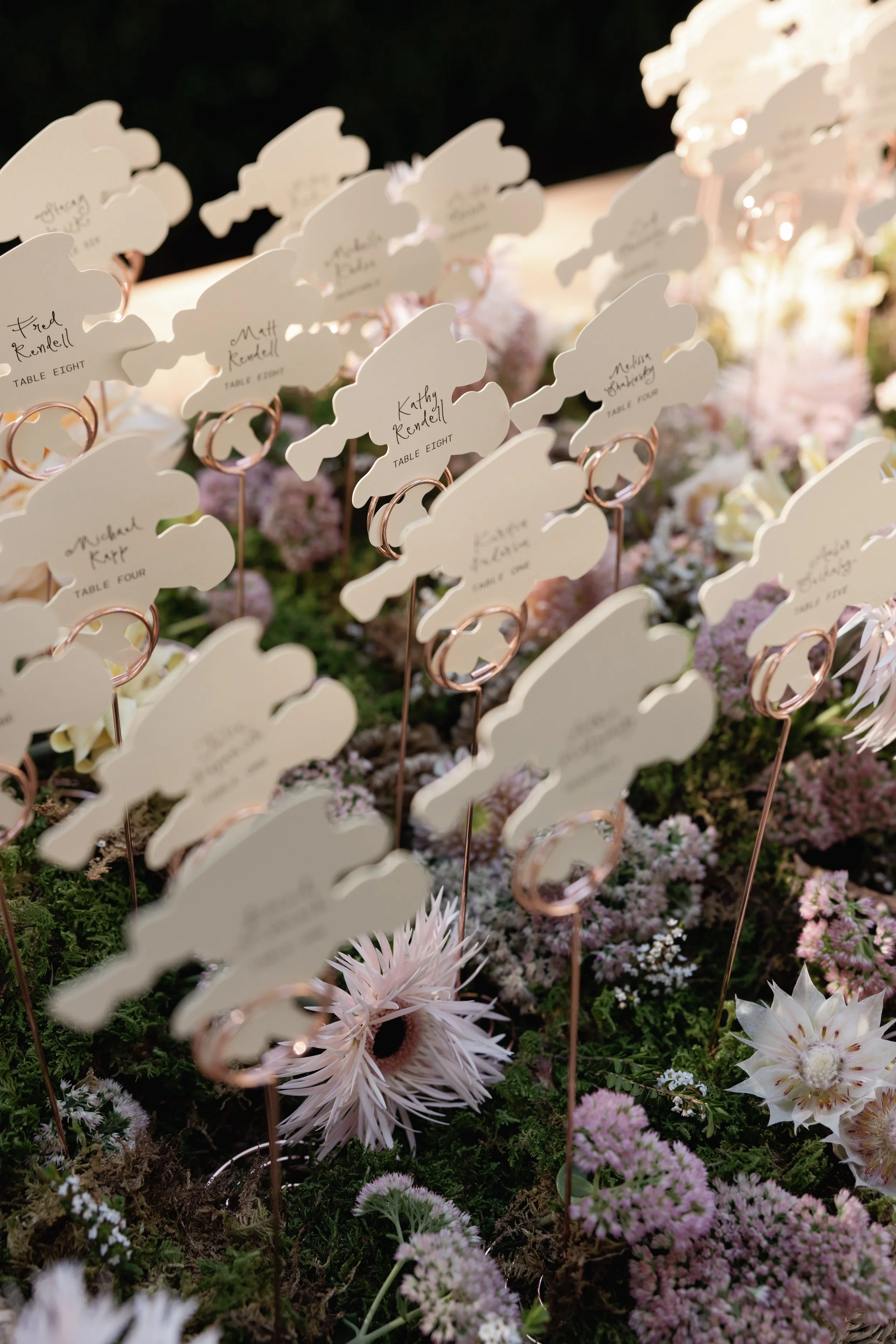 sarah-riley-wedding-269.jpg