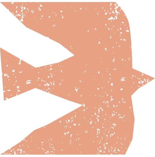 Close-up of a stylized fish in shades of pink and black.