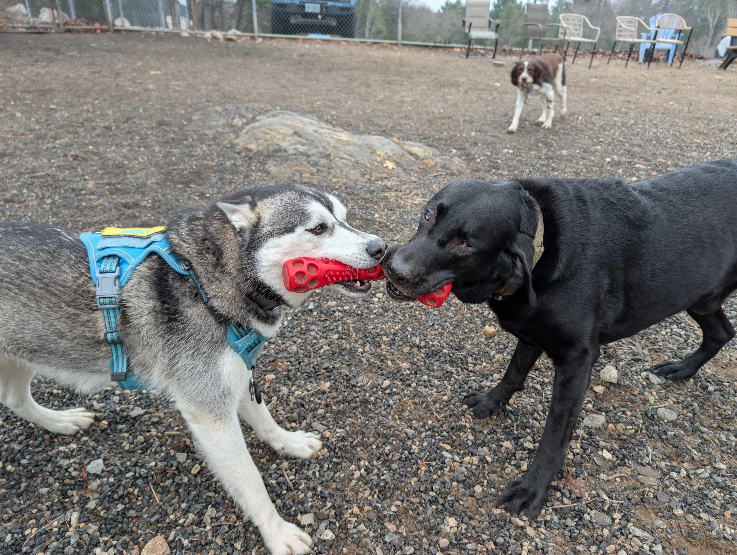 Monthly Board meeting