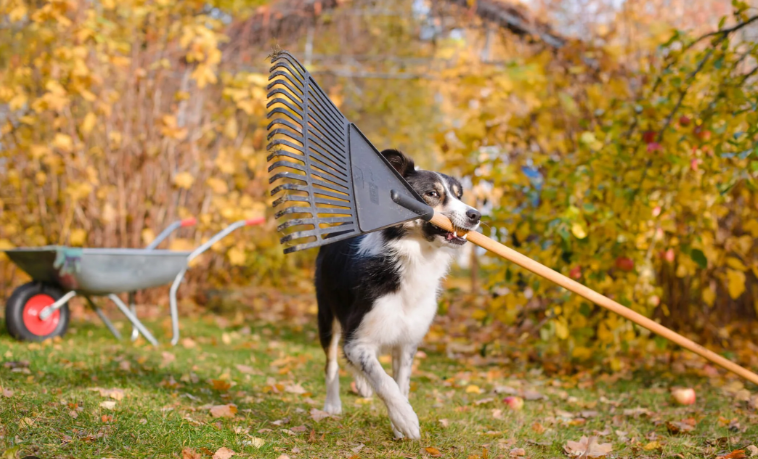 Grounds Maintenance Schedule 2026
