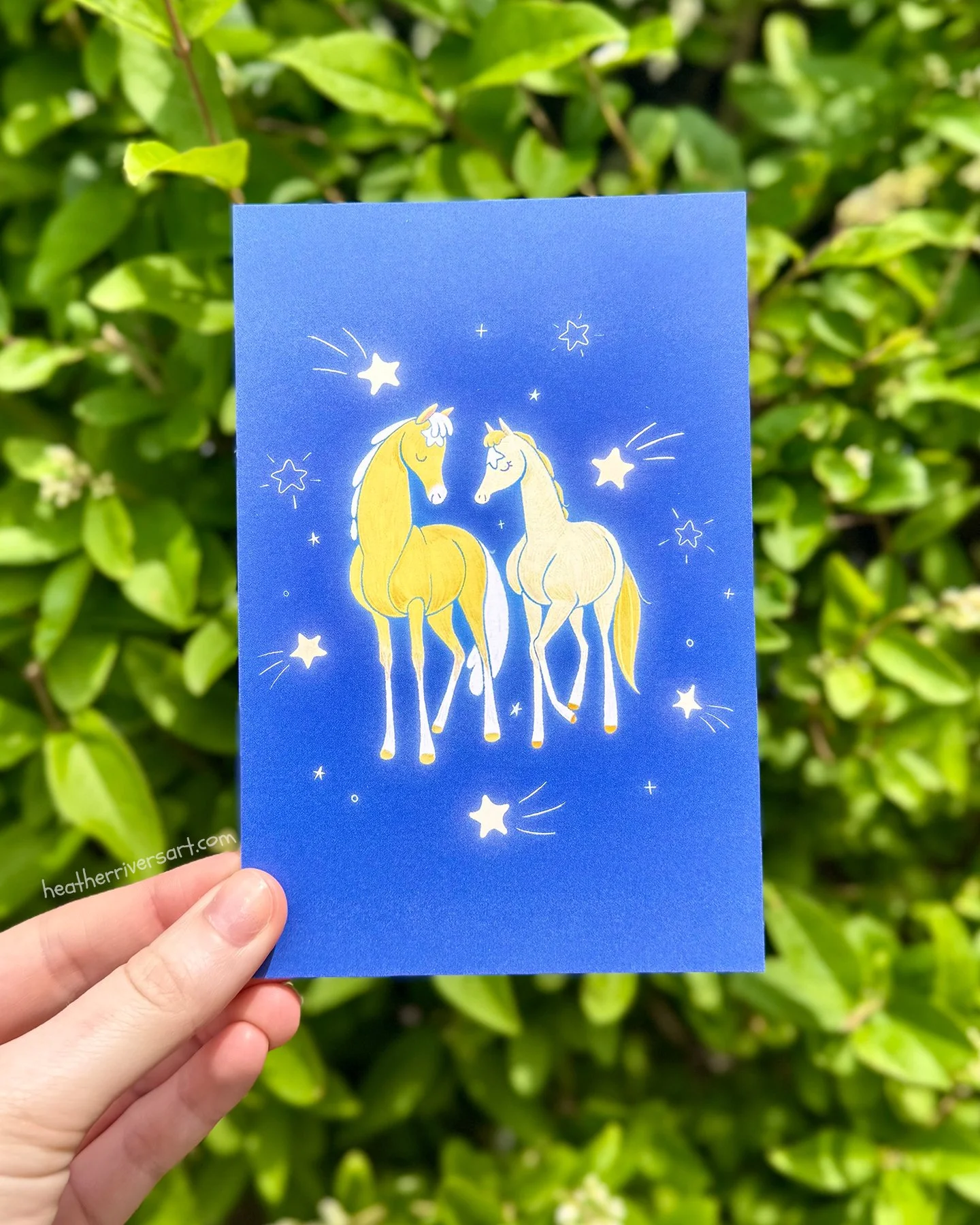 Starry_Postcard_Hand.jpg