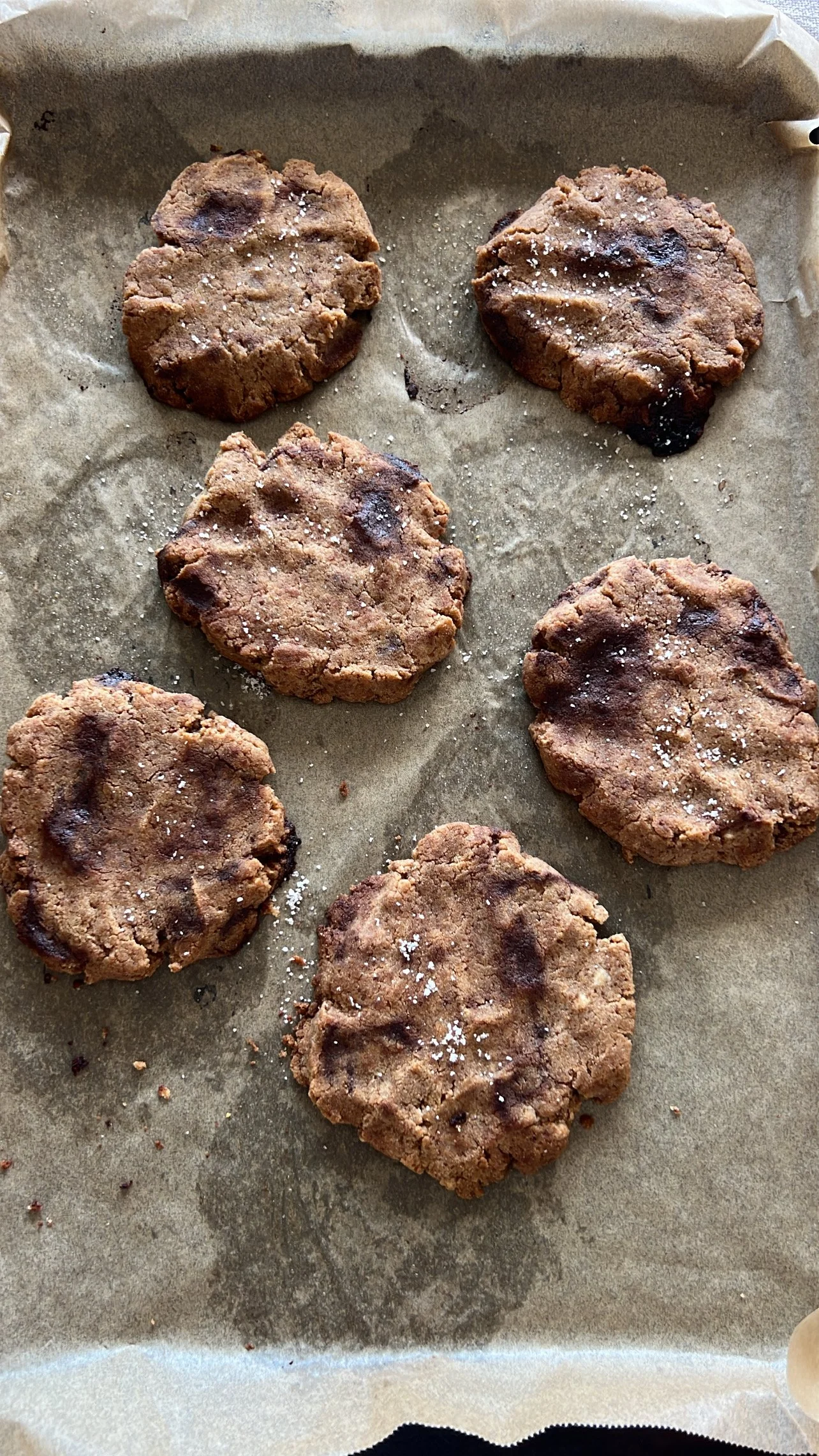 Gut friendly Choc Chip Cookies 
