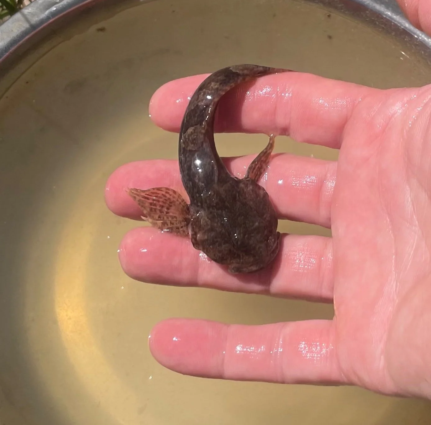 Hidden Water Beneath Our Feet